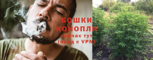 мет Мегион
