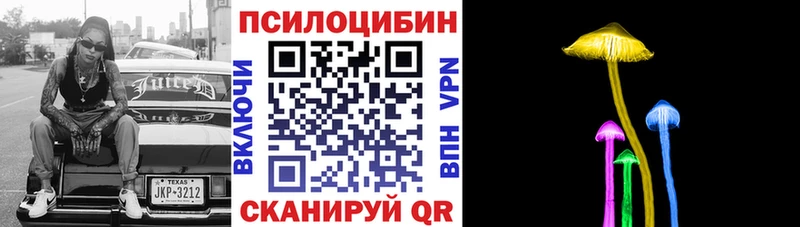 хочу   Нижняя Салда  Галлюциногенные грибы Cubensis 